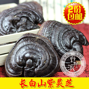  长白山灵芝 紫灵芝正品 短柄紫芝 精选大个头 半野生 免费打粉
