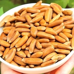  百草味 坚果零食特产 特级松子壳薄 手剥巴西松子 158g