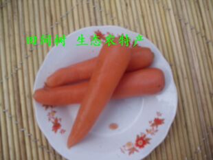  田间树农家腌制胡萝卜咸萝卜早餐伴侣爽脆好吃散装500g特价促销