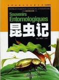 世界经典文学名著宝库《昆虫记》儿童书彩图注音版 假一赔三