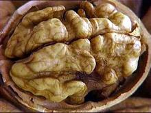 新疆特产*新货薄皮核桃 光皮核 桃非纸皮核桃*35元/斤