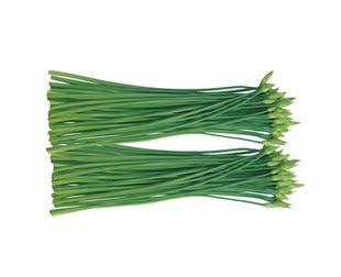  中国有机绿色食品专营 天地生 蒜苗500g 新鲜蔬菜 北京满百包邮