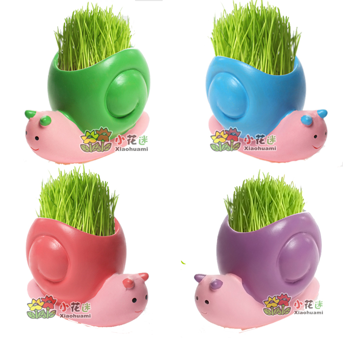 办公室防辐射创意迷你小盆栽蜗牛绿色植物草头娃娃创意礼品礼物|msdalam kategori penghantaran bunga/bunga simulasi/tumbuhan berkebun, Plants Mini kreatif - dari Buy2taobao.com untuk memberikan perkhidmatan ejen Taobao profesional membeli