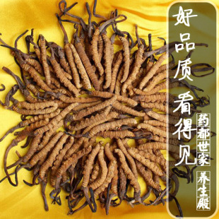  冬虫夏草西藏正品 同仁堂品质12年新虫草 那曲冬虫夏草批发 4根/g