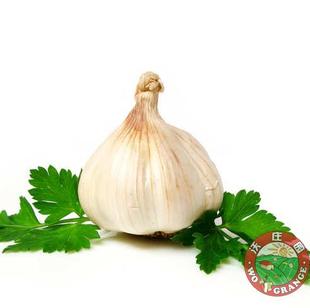  新品上架!大蒜250克，新鲜蔬菜，今日秒杀菜市场生鲜超市防癌抗癌