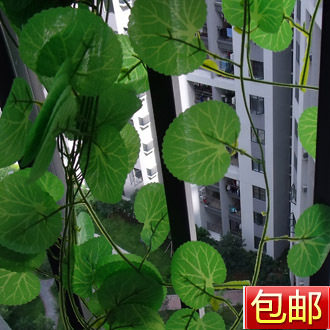 （断货中）金钱叶挂藤(一包10条28元 )塑料花藤蔓藤挂藤干花