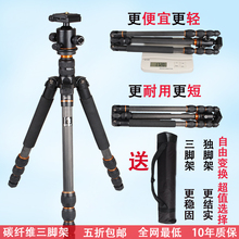 正品BK-586碳纤维单反三脚架旅行独脚架高性价比便携相机三角架