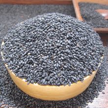 纯天然 绿色 黑芝麻 炒熟 真空包装 补血 益肝养发  抗衰老 500g