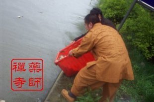 每月初一 登记