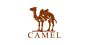Camel/����
