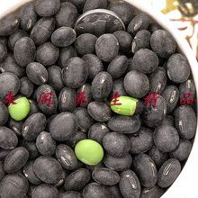 太行山-农家大黑豆250克 青仁/绿仁，个大  10年新货