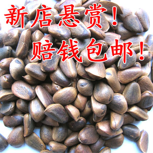  【小哆干果】新货东北野生手工开口熟松子坚果年货500g包邮