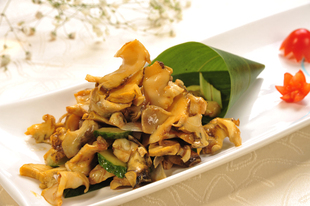  包装贝类制品 新鲜速冻海螺片 海螺片 新鲜味美刺身佳品150克装