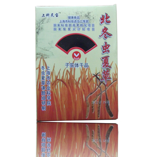  上海农科院研制北冬虫夏草25克北虫草 营养不输那曲虫草买四送一