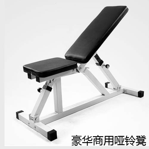 豪華商用專業訓練啞鈴凳小飛鳥健身椅啞鈴凳健身凳不搖不晃可調節在類目 運動/瑜伽/健身/球迷用品, 踏步機/中小型健身器材, 仰臥板/健腹板中 - 來自Buy2taobao.com提供專業的淘寶代購服務