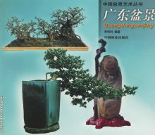 [正版]广东盆景（中国盆景艺术丛书)/李伟钊