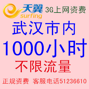 电信 3g上网资费卡 3g资费 无线上网卡 电信资费卡 武汉1000小时