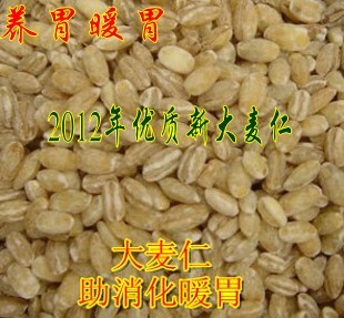  五谷杂粮 农家大麦粒助消化 养胃暖胃 有机大麦仁 500克