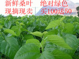 taobao english 15732024723