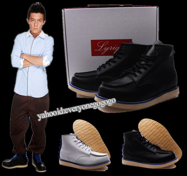 卡鲨鱼旗舰店|后海大鲨鱼|墙上的鲨鱼读后感 - 