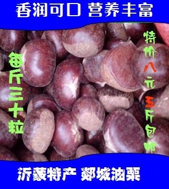 2014年货板栗新鲜上市 沂蒙有机栗沭河古栗 每斤30粒个头大口感香
