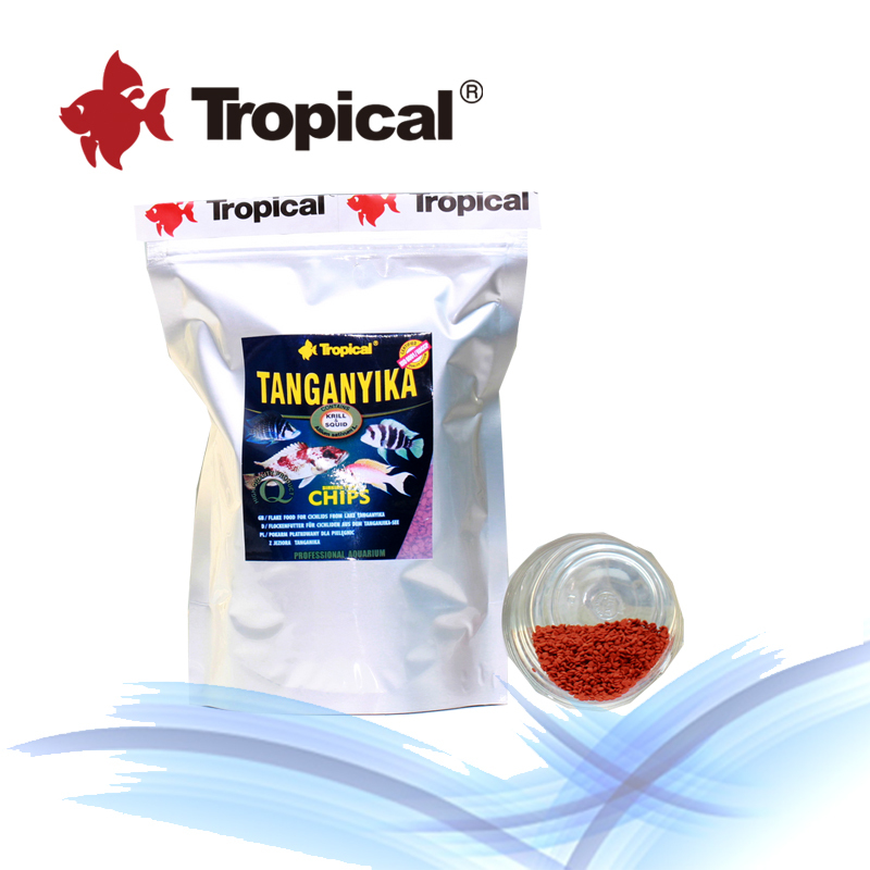 大型热带鱼观赏鱼排行榜大型热带鱼观赏鱼价格