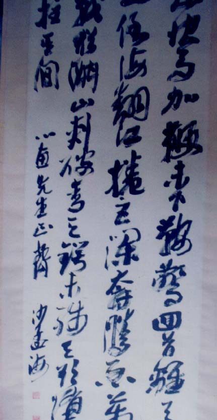 宝贝图片