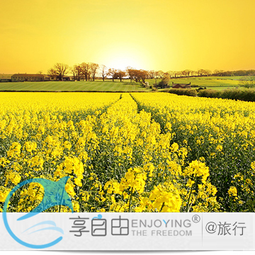 江西南昌出发 婺源三清山二日国内跟团旅游/品婺源特产 含门票 江西南昌出发 婺源三清山二日国内跟团旅游/品婺源特产 含门票