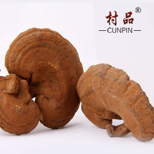  村品 长白山赤灵芝 养殖赤灵芝 今年新货500克38元 数量有限