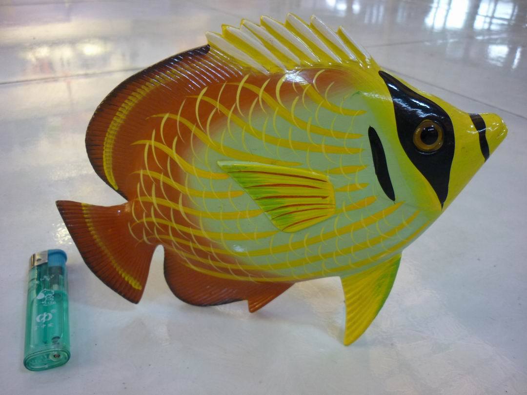 大型热带鱼观赏鱼排行榜大型热带鱼观赏鱼价格