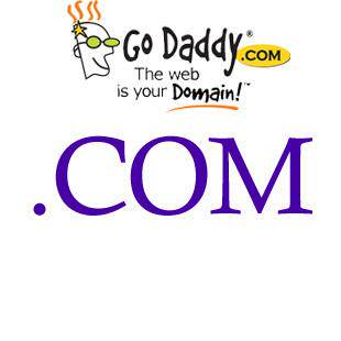 特价注册godaddy 域名的 .com域名 价格29.00元