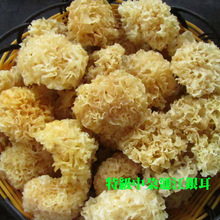 特级中朵新货 野生椴木通江银耳{白木耳/雪耳} 限时折扣1斤包邮