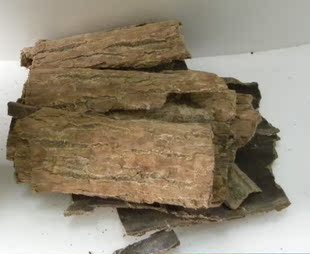 贵州苗药 民间老中医 中药草药 贵州野生杜仲