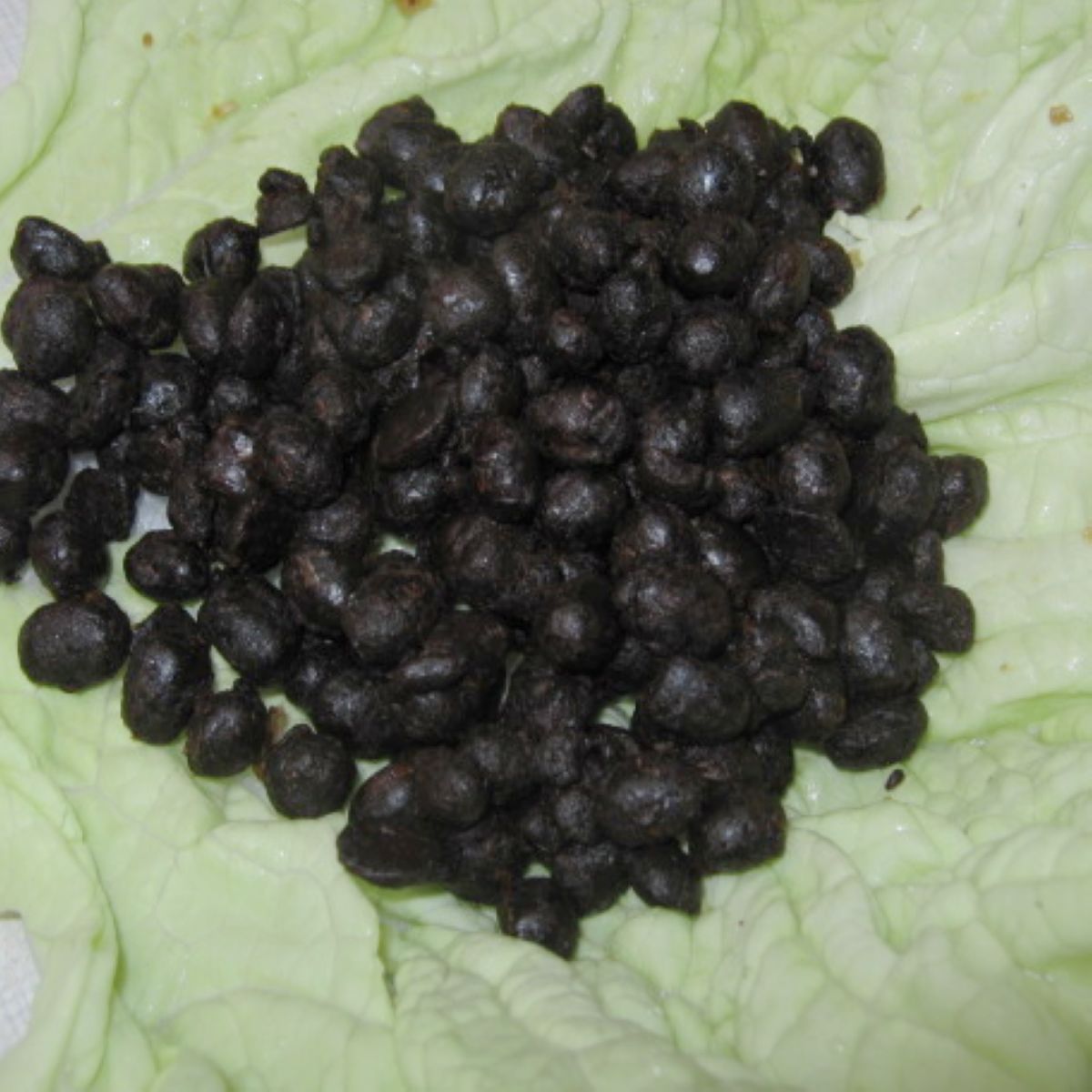 婆婆手艺!农家自制白味黑豆豉 纯正酱香炒腊肉回锅肉调料买5送1在类目 水产肉类/新鲜蔬果/熟食, 腌制蔬菜/泡菜/酱菜/脱水蔬菜, 酱菜中 - 来自Buy2taobao.com提供专业的淘宝代购服务
