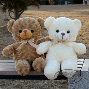 北极熊和棕熊图片