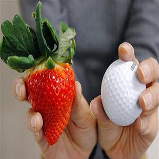 盆栽草莓苗★美国巨早★水果皇后★无休眠期特