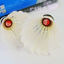 ^����BT-9��ë�� ѵ������ ˮѼϸ��ëƬ �����۸� 6166004