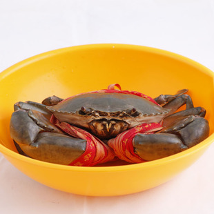  红膏膏 品蟹三门青蟹海鲜鲜活海蟹 小母蟹小青蟹活母螃蟹单只4两1