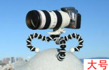 taobao english 14920112312