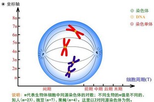 《问答与导学-高中生物》高中同步辅导软件