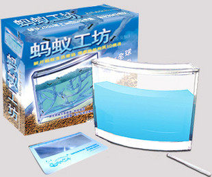 通过国家认证3C的正品烟台产蚂蚁工坊送10只蚂蚁！秒杀一周