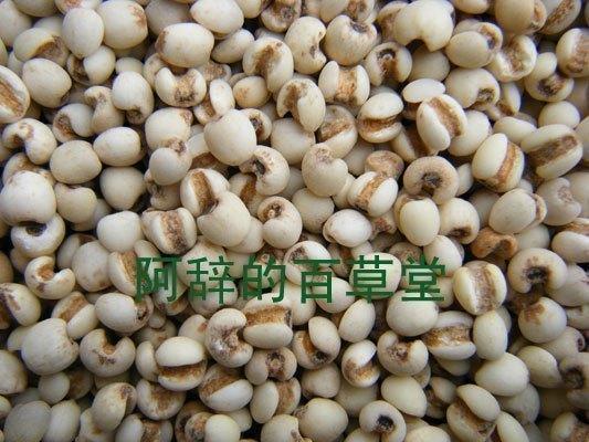 贵州小薏米仁 正品意米无硫苡米仁500克 二件包邮 可免费打粉在类目 粮油米面/南北干货/调味品, 米/面粉/杂粮, 杂粮组合中 - 来自Buy2taobao.com提供专业的淘宝代购服务