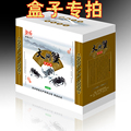 澄信旗舰店 阳澄湖大闸蟹 专用礼盒