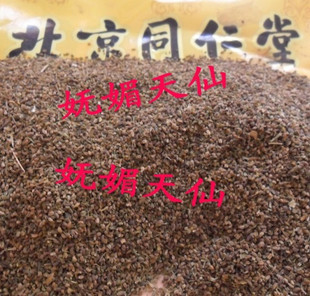  中药材同仁堂芹菜子 芹菜种子 芹菜籽 500克 降高血压满三斤包邮