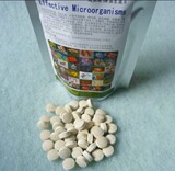taobao english 14747976427
