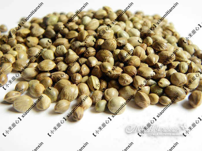 仓鼠最爱麻子 火麻仁 仓鼠主粮 零食 仓鼠用品 100g在类目 宠物/宠物食品及用品, 仓鼠类及其它小宠, 饲料/零食中 - 来自Buy2taobao.com提供专业的淘宝代购服务