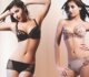 �찲��ԭ������������ۼ���ձ���CD����40Ԫ/��