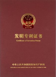 发明专利申请实质审查请求【专利代理】【快速办理】【包EMS】
