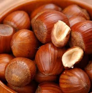  老关东 老关东大榛子 大尖 250克 粒粒饱满 大号 不开口