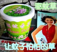 18064夏季热销~盆式精装驱蚊草 让蚊子怕怕的草哦~